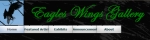 EaglesWingsGallery- screen shot x150wide